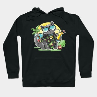 Cute Summer Cat Hoodie